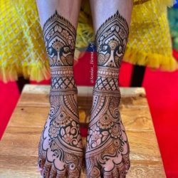 WhatsApp Image 2025-11-01 at 5.58.41 PM (1)